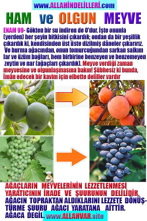 allahin-delilleri, allahin delilleri, allah delilleri, allahin varliginin delilleri, allah var, allahin delilleri nelerdir?